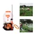 Heavy Duty 4 Stroke 139F Engine 20 L Knapsack Sprayer of Agriculture Spray Pump With Accessories for Agriculture Purpose